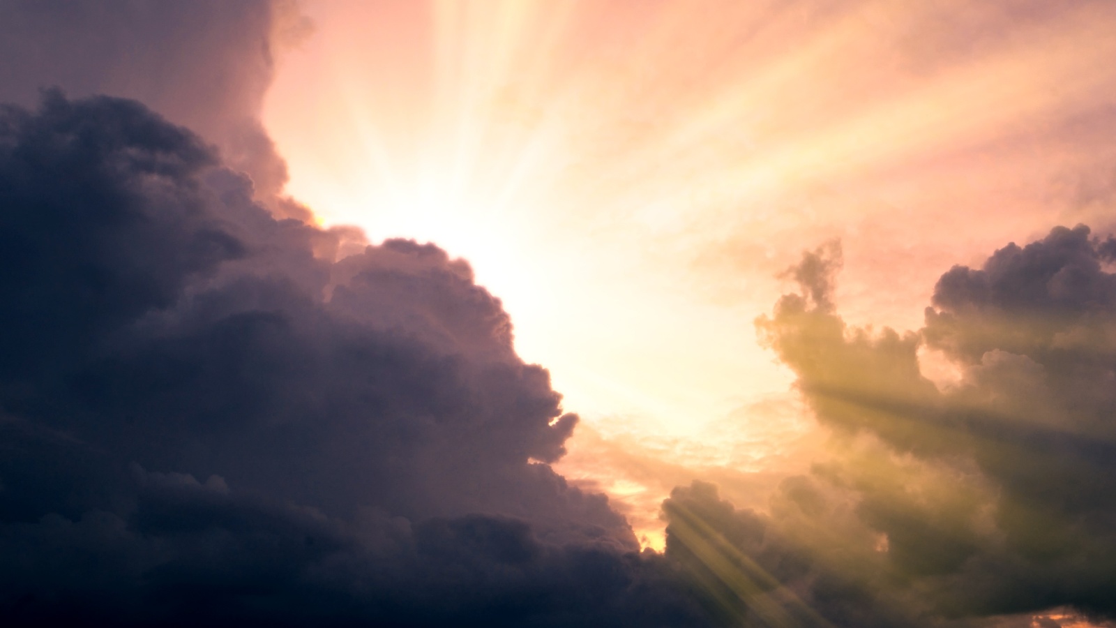 If You Want to Know Jesus, Read Revelation