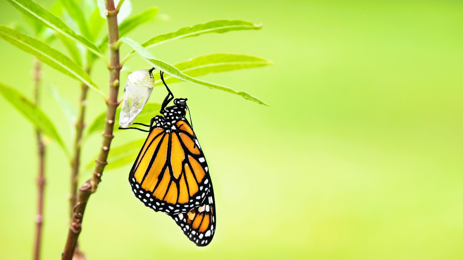 From Death to Life: A Bible Study on Romans 6