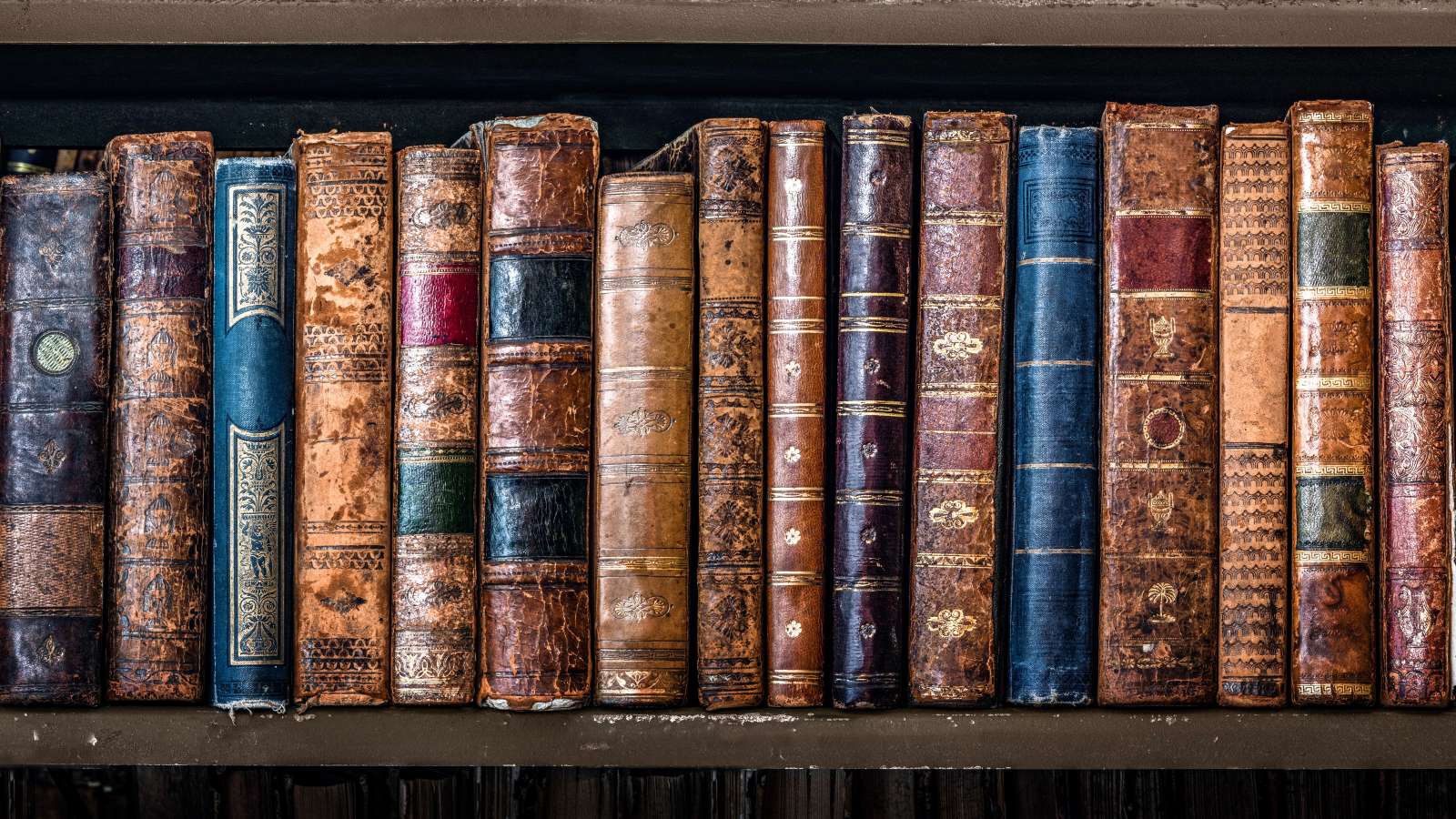 If You Really Want to Understand the Bible, You Have to Play by the Book