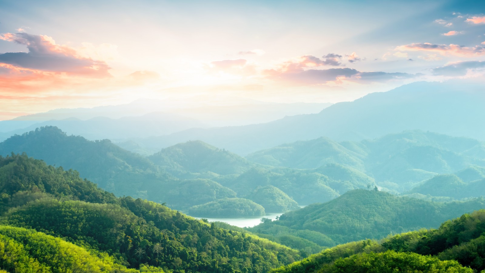 40+ Bible Verses About Peace