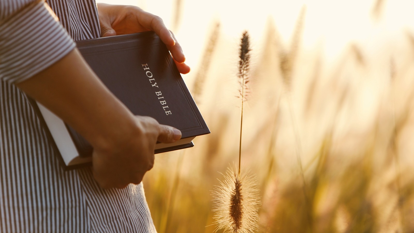 3 Spiritual Habits That Will Change How You Read the Bible