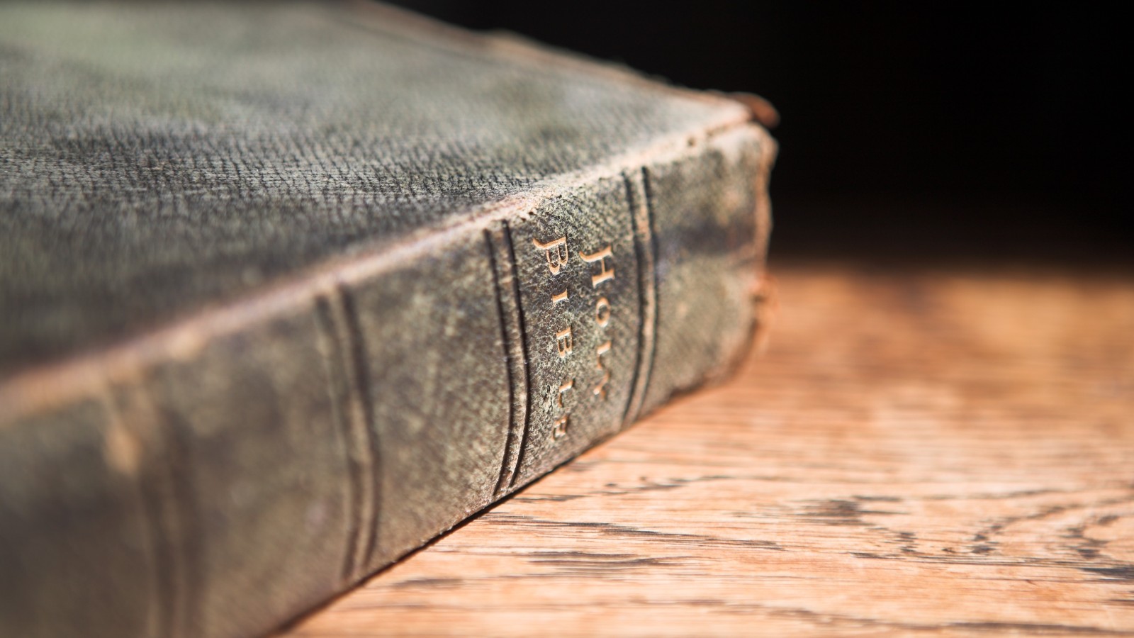 The Ancient Book in the Modern World