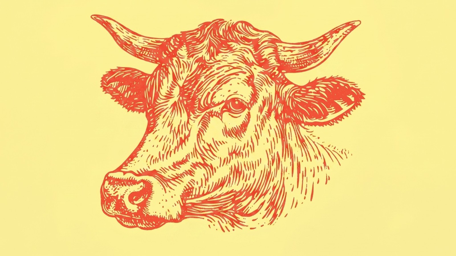 Signs of the End Times: Making Sense of Biblical Prophecy Today