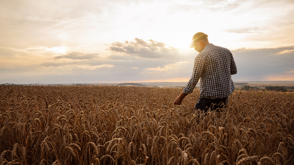 Grow in God's Word