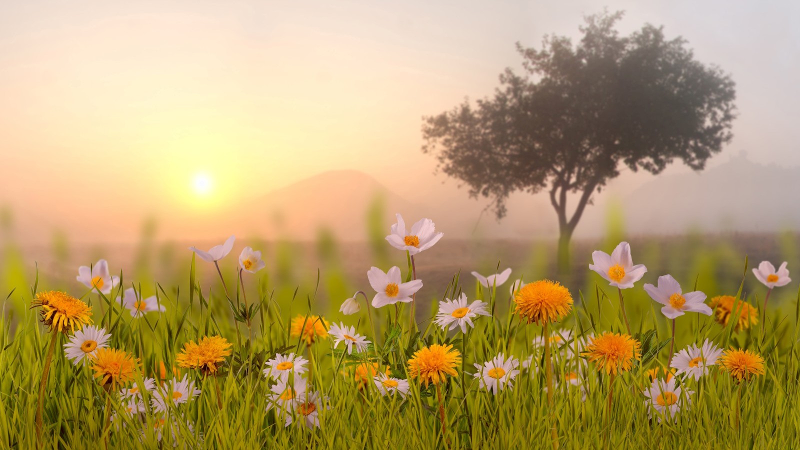 Why God Rests — and You Should, Too