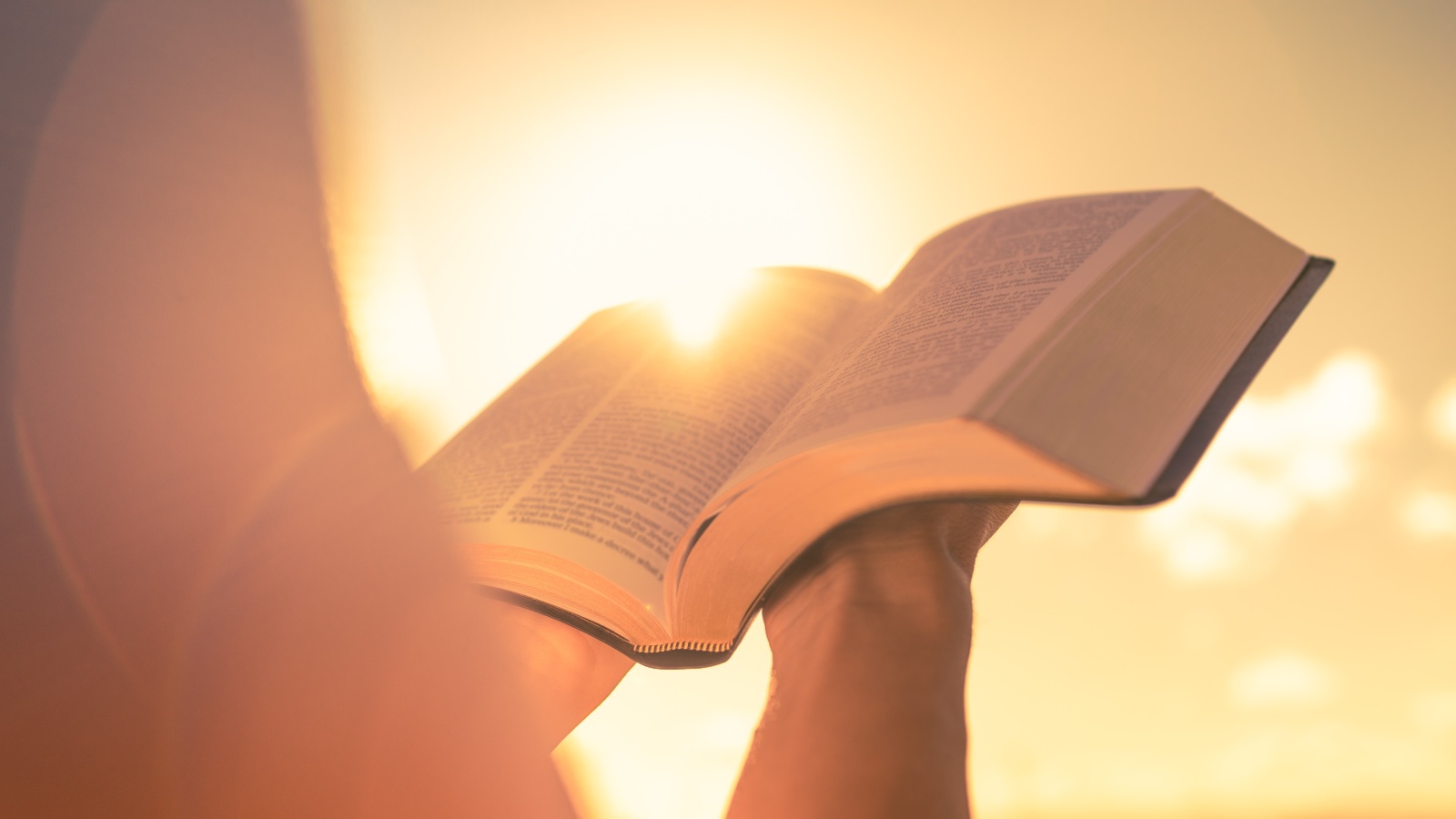 33 Bible Verses About the Bible