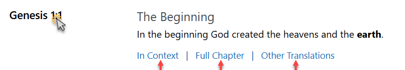 A single search result showing the In Context, Full Chapter, and Other Translations links
