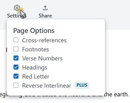 The Settings menu showing page display options